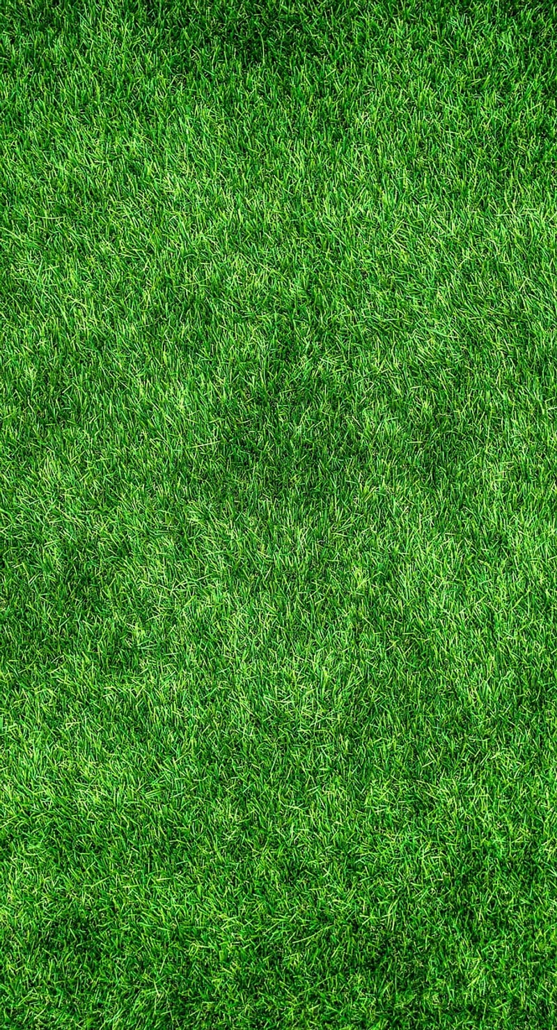 Eco-Friendly Designs